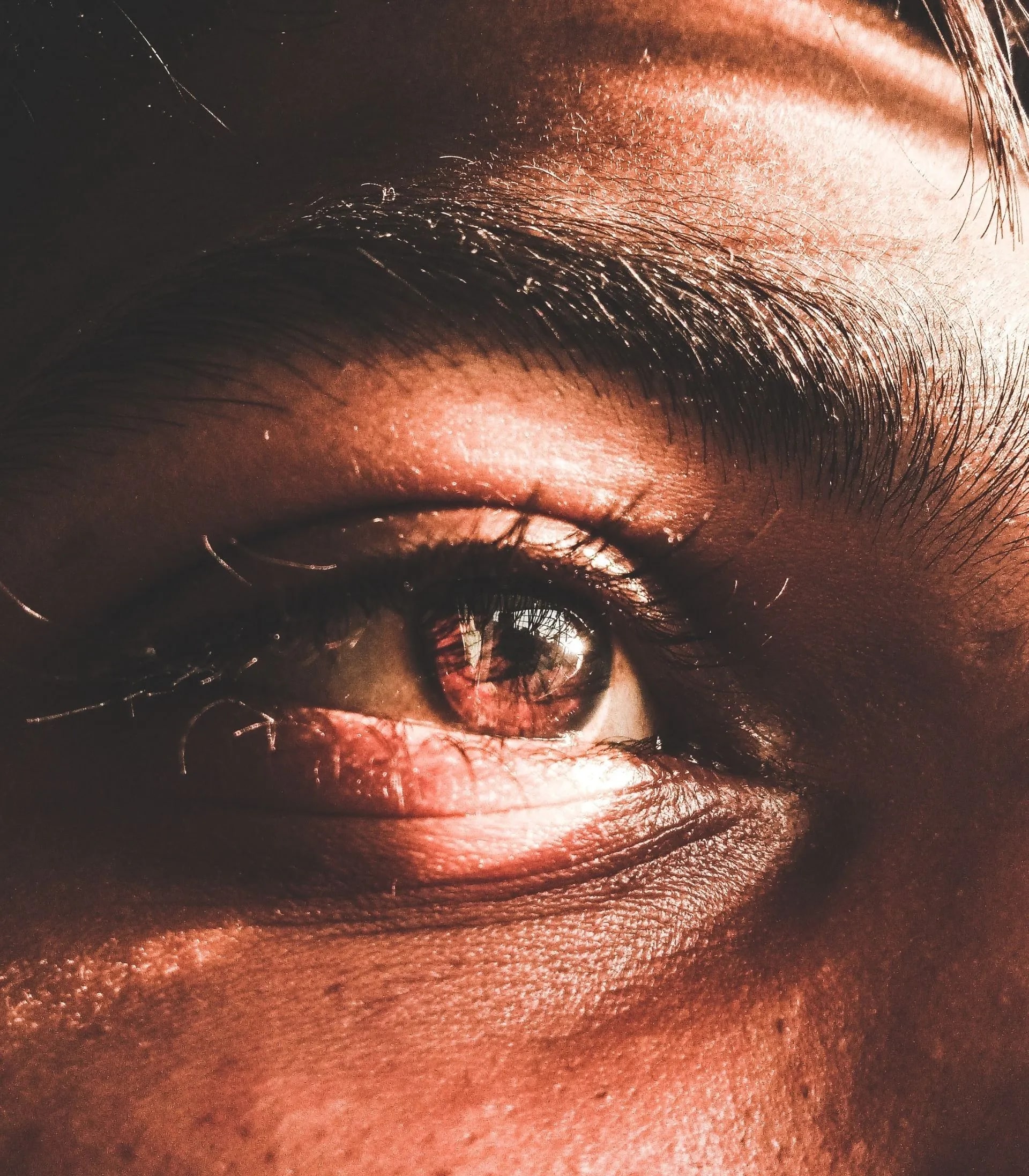 Corneal Transplants Brookfield WI