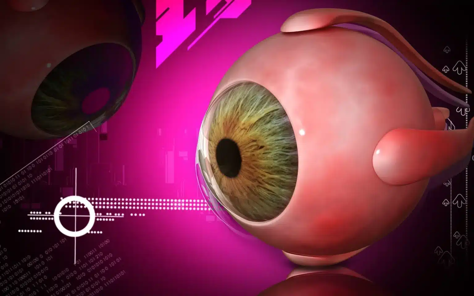 24907672 m normal none 1920w 24907672 m normal none 1920w