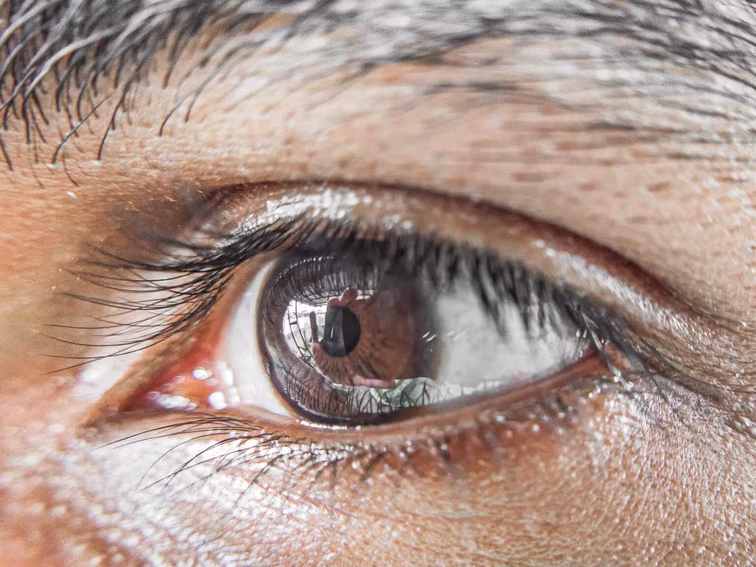 pexels rahil shaikh 4048455 1920w pexels rahil shaikh 4048455 1920w